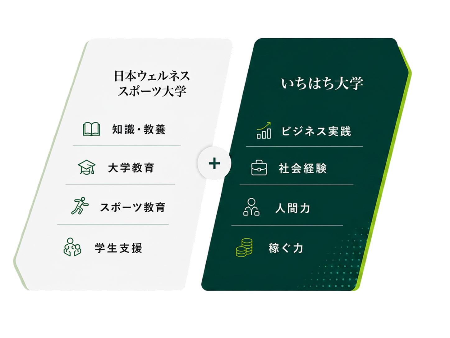 日本ウェルネススポーツ大学 と いちはち大学